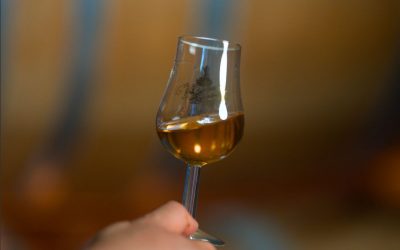 Guide du débutant sur le Cognac : Comment déguster et apprécier